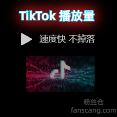 TikTok 播放量 | 稳定 | 速度较快