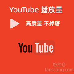 YouTube 视频播放量 | 稳定 | 速度正常