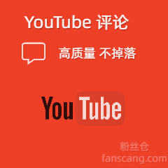 YouTube 自定义评论 | 最好质量 | 不掉落 | 速度较快
