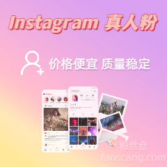 Instagram 粉丝 | 少量掉落 | 速度正常