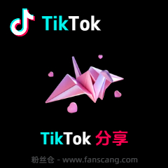TikTok 分享 | 稳定 | 备用服务