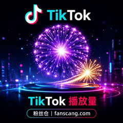 TikTok 播放量 | 稳定 | 速度一般