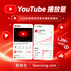 YouTube 视频播放量 | 稳定 | 速度正常