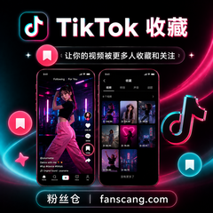 TikTok 收藏 | 稳定 | 速度较快