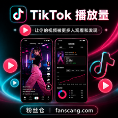 TikTok 播放量 | 稳定 | 速度一般